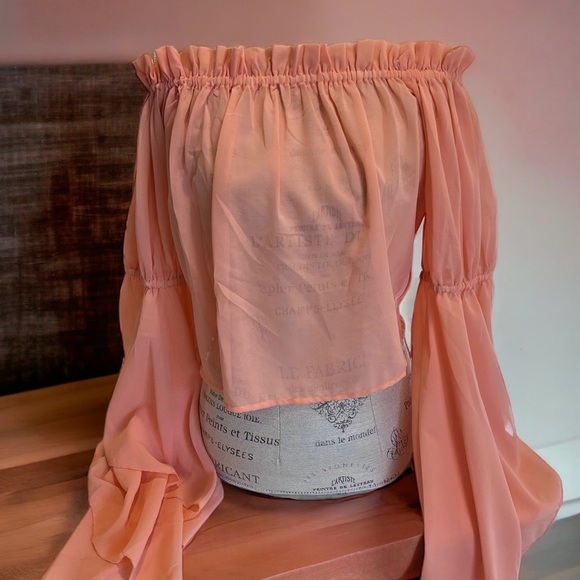 Feel beautiful in this romantic ruffled semi-sheer and feminine peach blouse - Picture 16 of 16